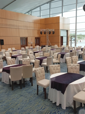 Small Safra Chairs for wedddings