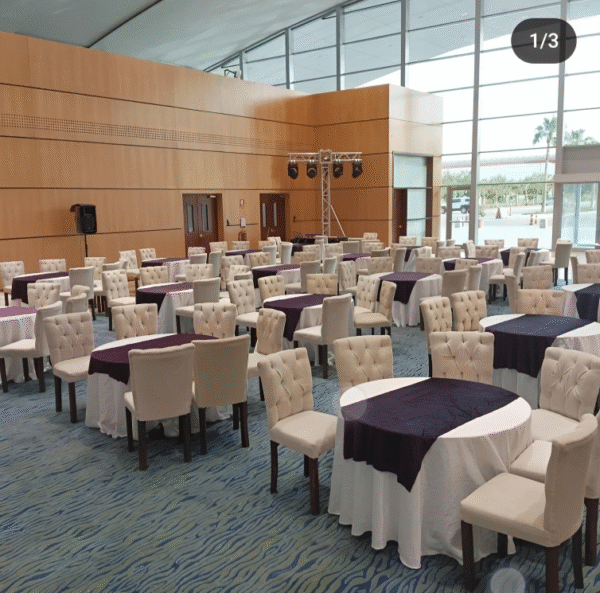 Small Safra Chairs for wedddings